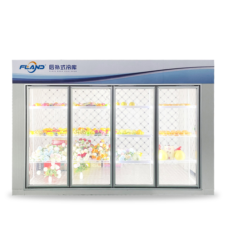 Expositor de cambra frigorífica amb portes de vidre (3)