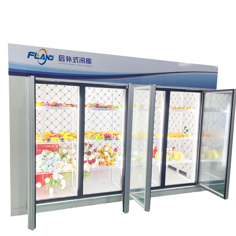 Display Cold Room With Glass Doors (1)