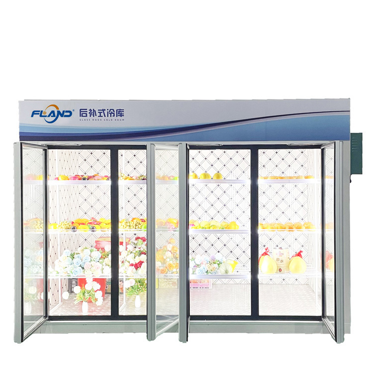 Display Cold Room With Glass Doors (2)